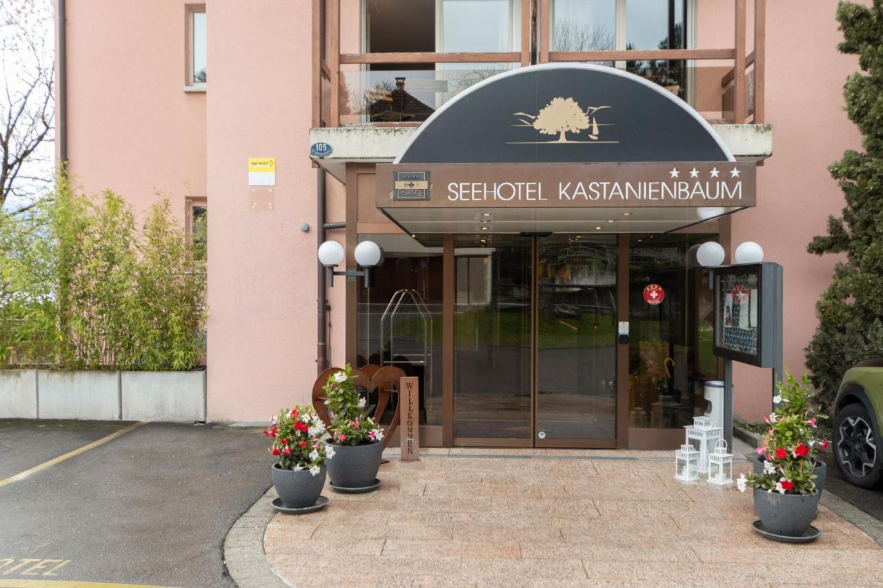 Seehotel Kastanienbaum Hotel 4*